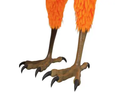 Phoenix 3D model buy
