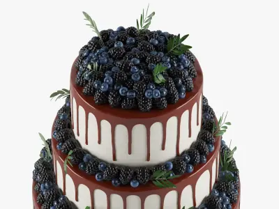  Wedding Berry Cake 02 