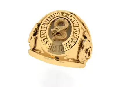 US AIR FORCE RING  MILITARY INSPIRED JEWELRY DESIGN 3D print model