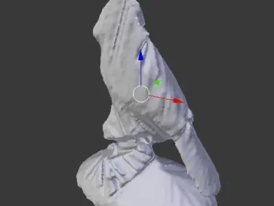 Bird topology  3D model