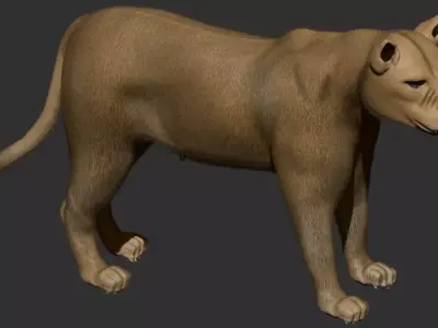 Lioness lion 3D model purchase