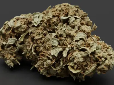 Cannabis Bud 01 3D model