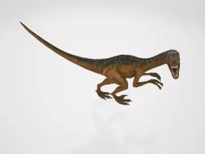 velociraptor dinosaur 3D model buy