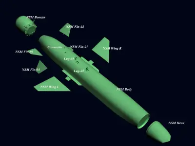 NSM for Print 3D print model