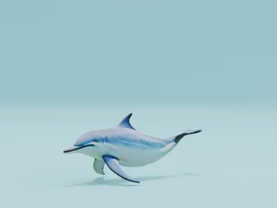 Dolphin white and smooth skin Low-poly 3D model