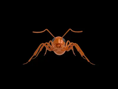 Ant Rig 3D model