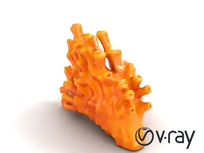Single Coral Fan Shape Textured Vibrant Model Pack Low-poly 3D model