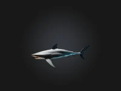 Realistic Shark Model Low-poly 3D model purchase