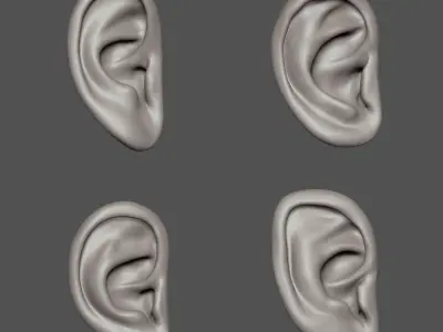 Ear Set 3D model