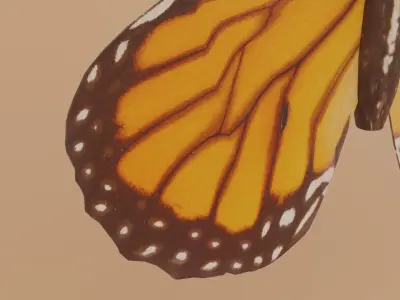 Monarch Butterfly Low-poly 3D model