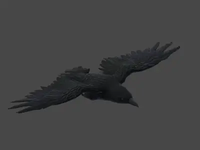 3D Animate Crow Low-poly 3D model