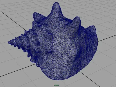 SEA SHELL Low-poly 3D model purchase
