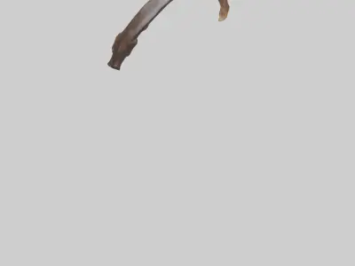 Moose Rib Low-poly 3D model