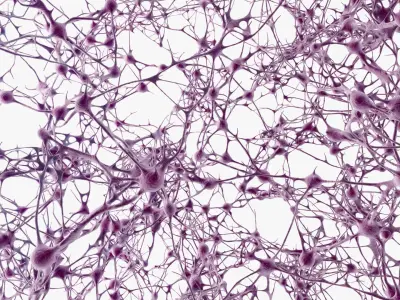 Neurons Network 3D model