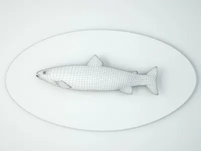 Antique Painted Carved Wood Fish Wall Sculpture 1 3D model