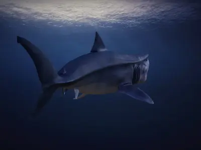 Megalodon  3D model