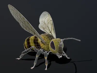 Bee low poly 3D model Low-poly 3D model