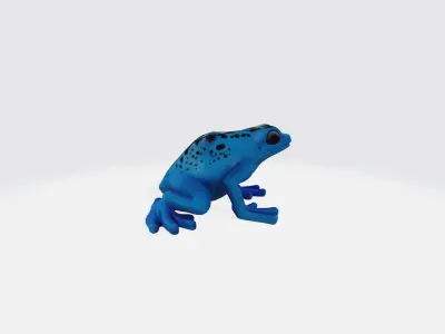 Frog cartoon 3d model Low-poly 3D model