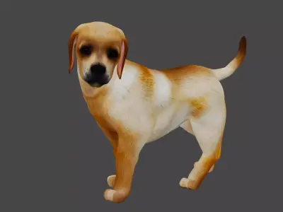 Dog X1 Low-poly 3D model