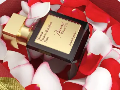 Baccarat Rouge 540 Extrait Perfume Gift Box with Rose Petals 3D model