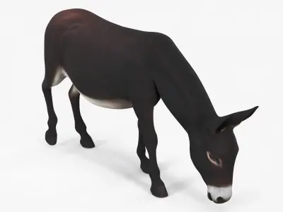  Farm Mammal Eating Dark Brown 