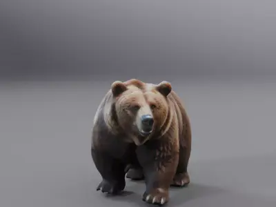 brown bear 3D model