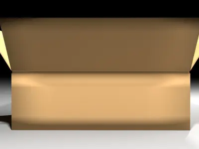 Cardboard Box - Rectangular Low 3D model