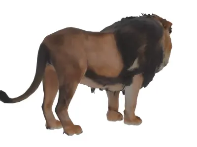 Lion Mammal Low-poly 3D model