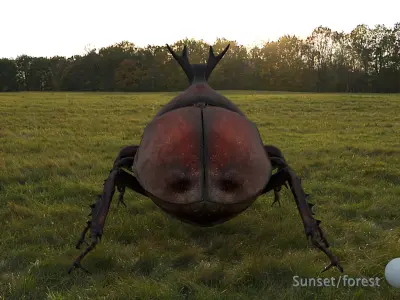 Rigged rhinoceros Beetle 3D model