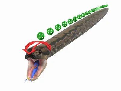 Brown Python Snake Rigged 3D Model
