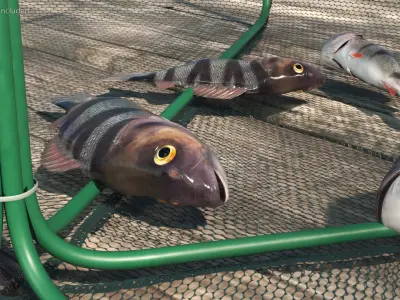 Automatic Pop-Up Fishing Trap and Captured Fish 3D model