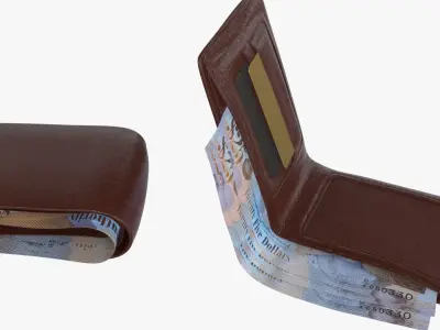 Cayman Islands British 25 Dollar Wallet Money Purse 3D model