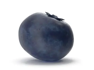 Blueberry 3D model