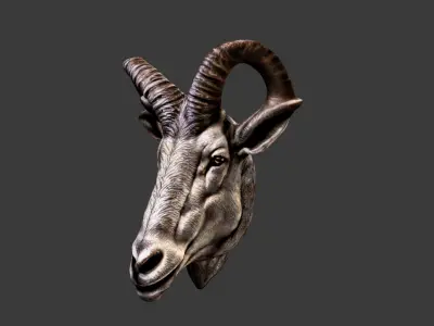 Deer Animal Head Low-poly 3D model 8