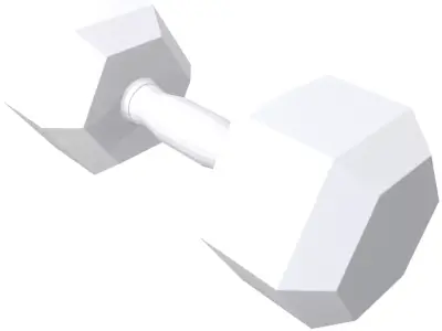 Precision Hex Dumbbell  5kg Steel Strength 3D print model purchase