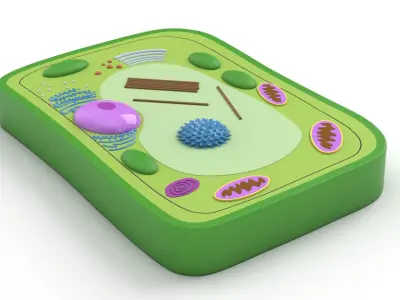 Plant Cell 3D model