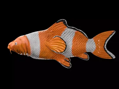cartoon nemo fish Low-poly 3D model