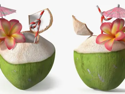 Tropical Coconut Beverage with Flowers and Umbrella 3D model