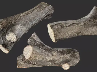 Piece of sawn tree wood 3d scan in highpoly 3D model