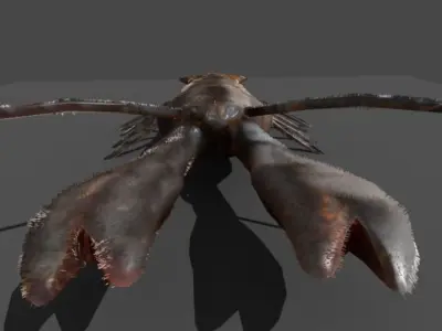 lobster with claws 3D model
