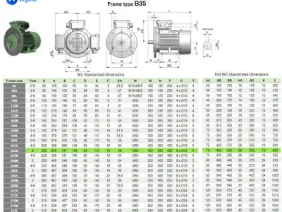 225M B35 Right 2 Pole IEC electric motor - 3D CAD model 3D model