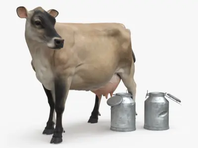 Jersey Heifer and Milk Bucket 3D model