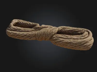 Tangled Coil  Realistic Detail of Disordered Wiring 3D model