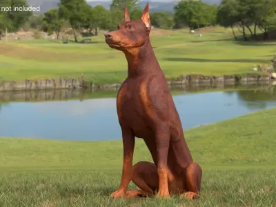 Doberman Dog Brown Sits 3D model
