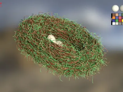 Bird Nest 3D model 5