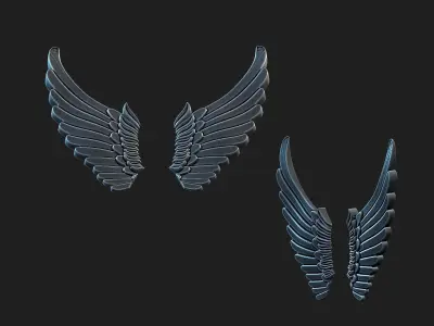 wings 02 3D model