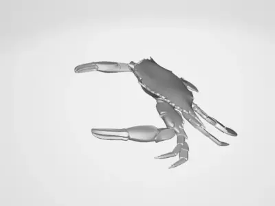 BlueCrab 3D model