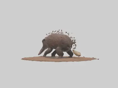Echidna digging for ants model 3D model