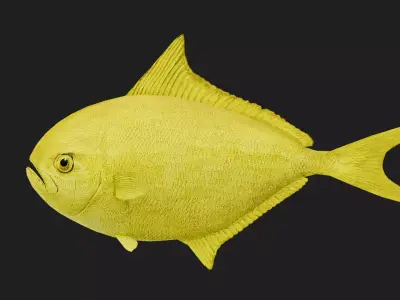 Pomfret Low-poly 3D model purchase