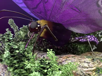 Purple Butterfly 3D model